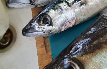 Cornwall Luxury Hot Tub Huts - Foto 49