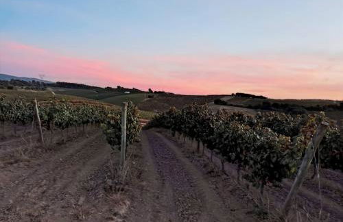 Historic Vineyard Retreat - 1785 Country Cottage in Peral - Foto 107