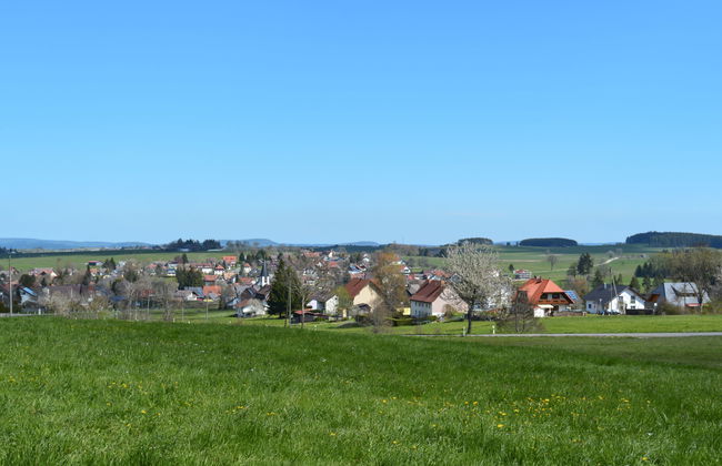 Spatzenparadies - Foto 23