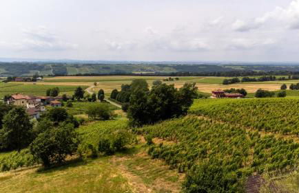 Il Nido di Adele - Foto 14