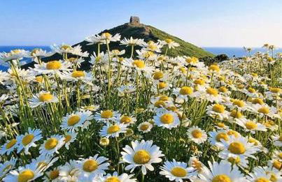 Polhawn Lookout, Whitsand Bay Cornwall - Photo 23