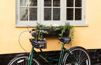 Vine Cottage - Foto 31