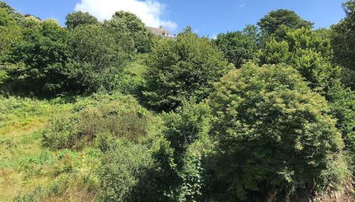 Cosy retreat in beautiful Cornwall - Foto 4