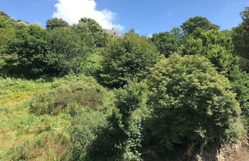 Cosy retreat in beautiful Cornwall - Foto 4