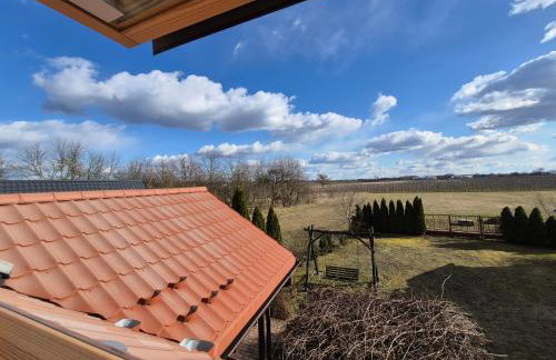 Agroturystyka Szlachecki Sad - Foto 14