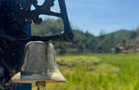 Sítio Koi - Photo 27