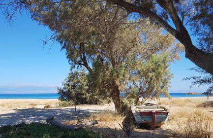 Galini Breeze - Foto 11