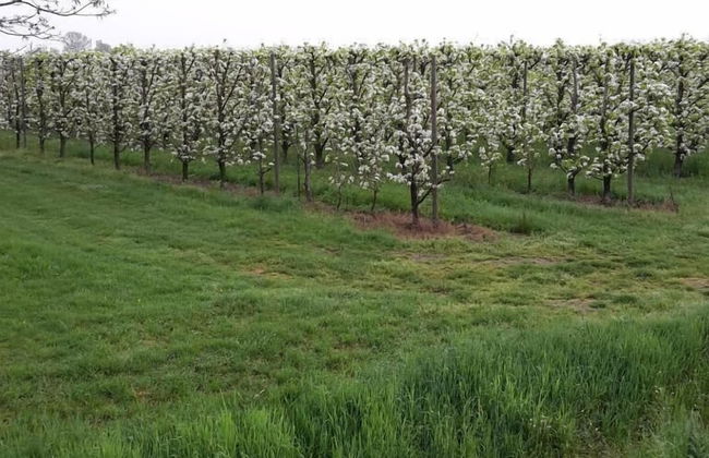 Agriturismo Dosso al Porto - Foto 44