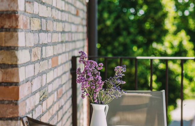 Alloggio Agrituristico Albafiorita - Foto 3