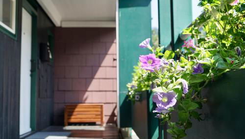 Schwarzwald-Ferienwohnung mit Panorama und Pool - Foto 5