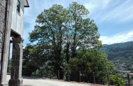 Quinta da Mata - Foto 44