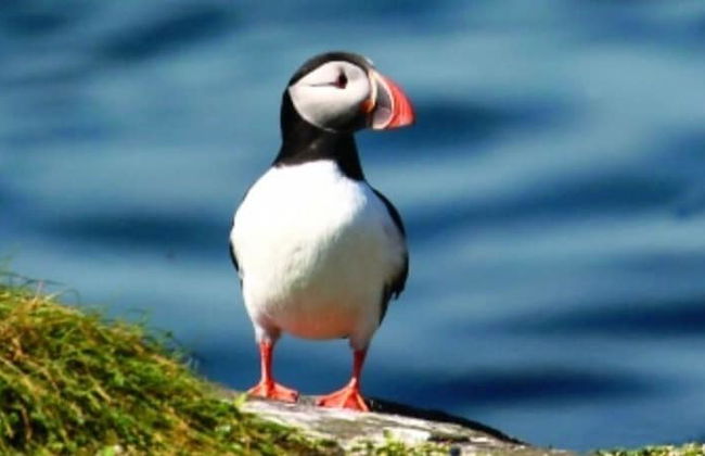 Seaside Cottage Hot tub & Games Room - Foto 18