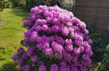 "Haus Seegang" für Naturliebhaber, strandnah, ruhig, mit großem Garten - Foto 19