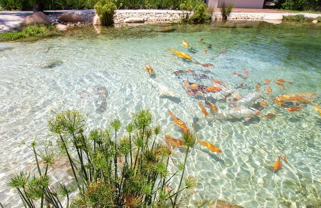 Condado de Urubici - Foto 29