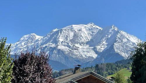 Appartement Luxe comme un Chalet - vue exceptionnelle - Foto 3