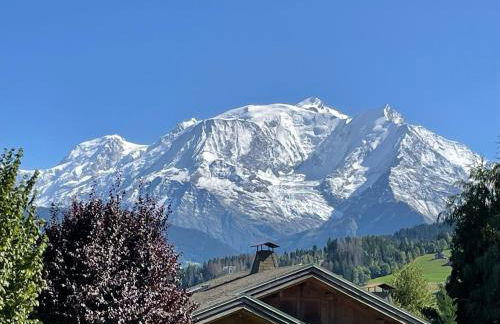 Appartement Luxe comme un Chalet - vue exceptionnelle - Photo 3