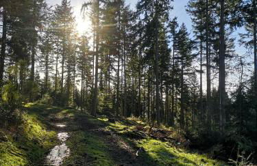 Ferienwohnung in Waldrandlage in Nationalpark Schleiden / Eifel - Foto 70