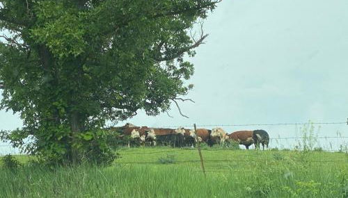 The Farmhouse ranch - Foto 4