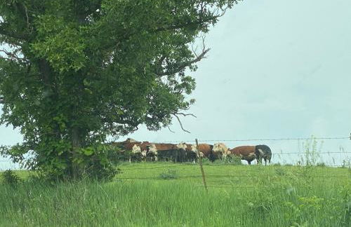 The Farmhouse ranch - Foto 4