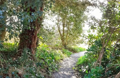 Brynog Mansion Apartment - Foto 30