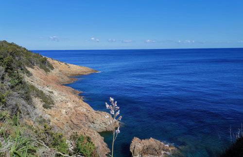 Appartement 1 à 4 personnes, balcon vue mer - Foto 10