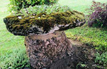 Apartments Smirnov - Foto 35