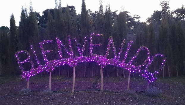 Enchanted Forest Tickets - Photo 3, Welcome to the Enchanted Forest!