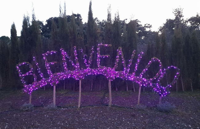 Enchanted Forest Tickets - Foto 13