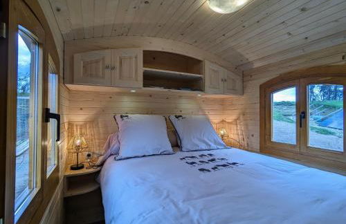 Roulotte cosy avec jacuzzi et spa, massages bien-être, nature et calme, près de Lyon - FR-1-582-477 - Foto 5