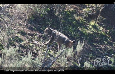 La Isabelita - Foto 20