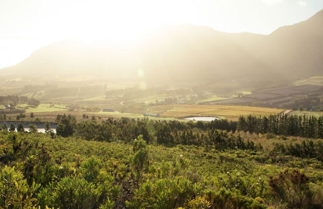 Clouds End Farm - Photo 49