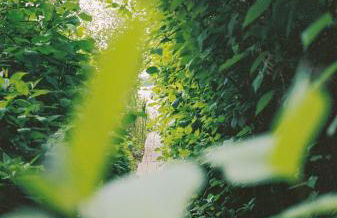 Am Mühlenberg - Photo 74