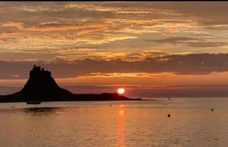 Delightful cosy shepherd's hut at Victorian Station - Foto 29