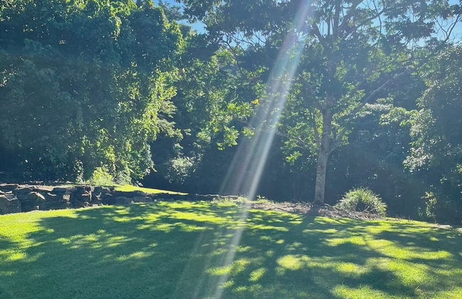 Seclude Rainforest Retreat - Foto 18