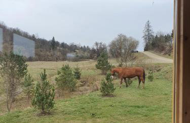 Wilcza Dolina - Foto 22
