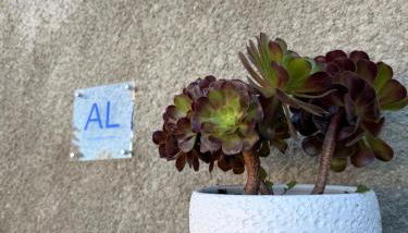 Casa Do Cruzeiro Apartment - Foto 3