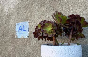 Casa Do Cruzeiro Apartment - Foto 3