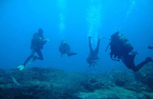 Vila Branca - Foto 36