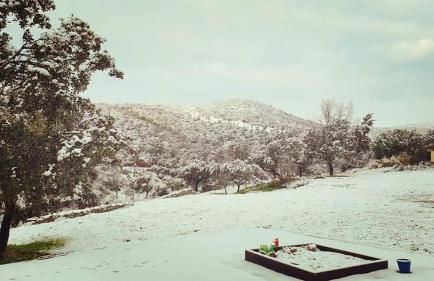 Casa Rural con skatepark y piscina " La Quijada del Lobo " - Foto 71