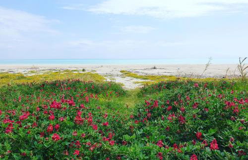 Casa Vacanze Fontanelle - Photo 33