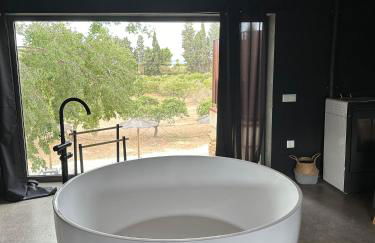 Mas Xalmes - Foto 31