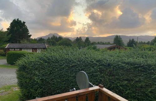 Caban Marjie - Foto 4