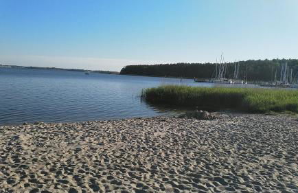 Ostsee Flair & Natur Idyll auf Rügen - Foto 31