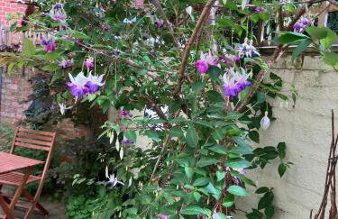 Driftwood Cottage - Foto 19