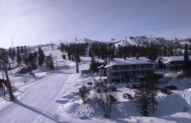 Vuosselin Helmi - Foto 1