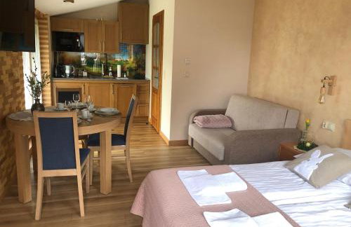 Apartament Vanessa 2 u podnóża gór, nad jeziorem Czorsztyńskim - Foto 3