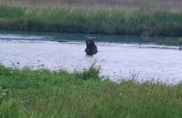 Coho Cabin - Great Views & Fishing - Foto 13