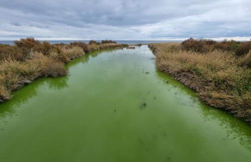 Pinar de GARRUCHA - Foto 27