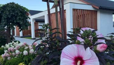 Zator Domki Dreampark - Foto 2