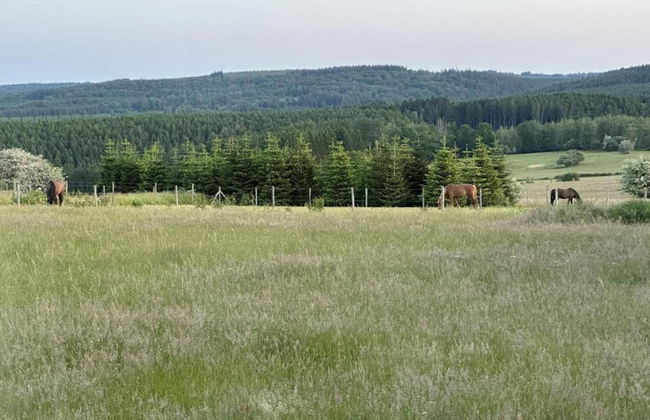 Green Hillside Apartment-petit Wilogne - Photo 39